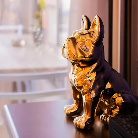 Cap D’agde à 50m Du Port Avec Piscine Appartement *